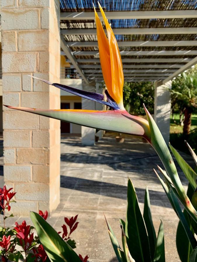 Aggelos And Thisbe Chania Suburbs Sea View Guest House Exterior photo